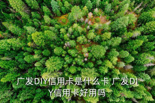 什么是diy信用卡，廣發(fā)DIY信用卡是什么卡 廣發(fā)DIY信用卡好用嗎
