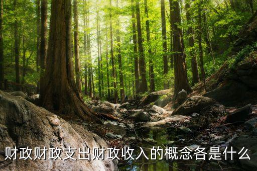 什么是財(cái)政支出，財(cái)政支農(nóng)支出的含義是什么