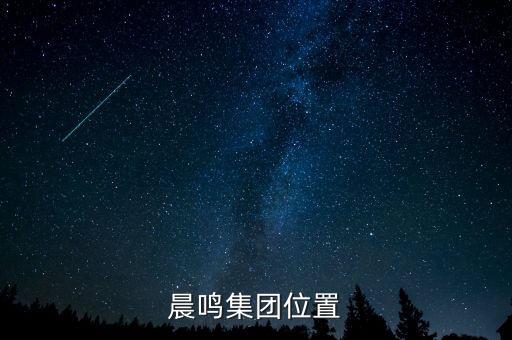 壽光造紙廢固是什么，晨鳴集團(tuán)位置