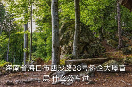 海南公務(wù)車什么號段，誰知道海南41 11月20日開的什么號碼