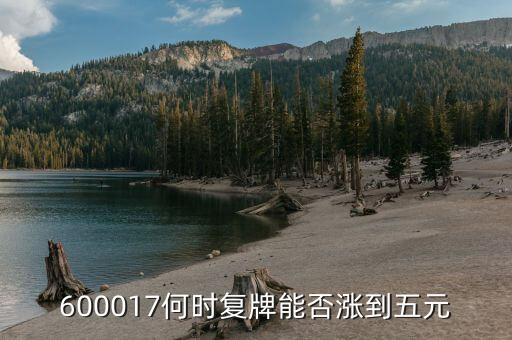 600017什么時間整合，600017何時復(fù)牌能否漲到五元
