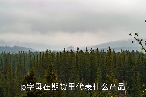 pp是什么期貨，聚丙烯期貨是什么