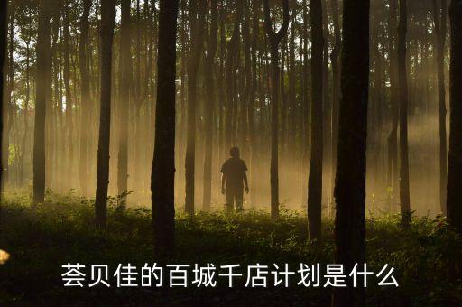 百城千店是干什么的，百城千店介貸是什么
