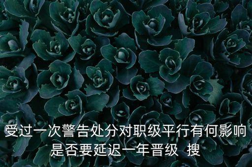 銀行警告處分有什么影響，受過一次警告處分對職級平行有何影響是否要延遲一年晉級  搜