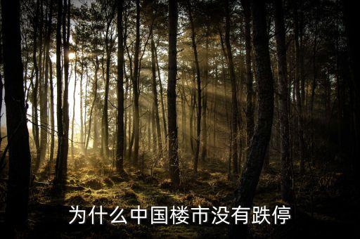 為什么中國房地產(chǎn)不崩盤，為什么中國樓市沒有跌停
