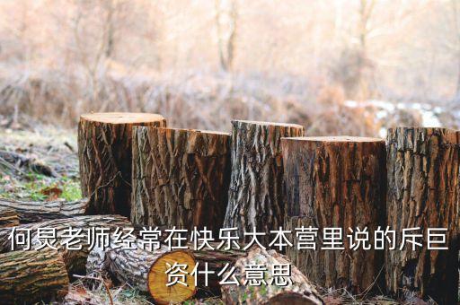 赤巨資是什么意思，赤巨資是什么意思能解釋一下嗎