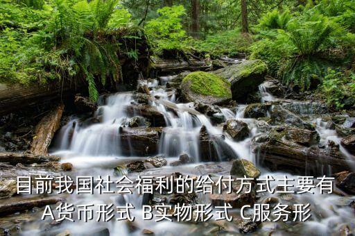 我國(guó)是什么福利型模式，目前我國(guó)社會(huì)福利的給付方式主要有 A貨幣形式 B實(shí)物形式 C服務(wù)形