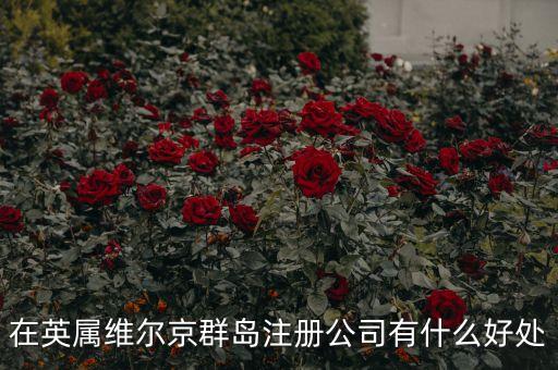 在英屬維爾京群島設(shè)立子公司有什么好處，設(shè)立子公司的好處有哪些