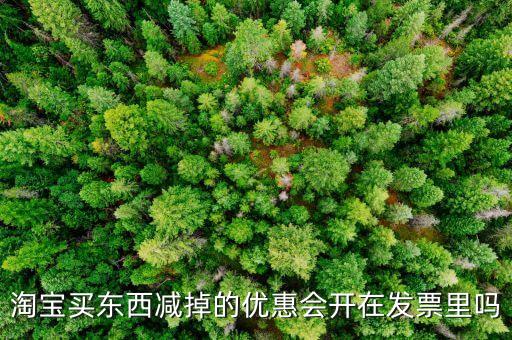 網(wǎng)店為什么貨票不同行，為什么網(wǎng)店賣(mài)的東西不能和發(fā)票一同送來(lái)