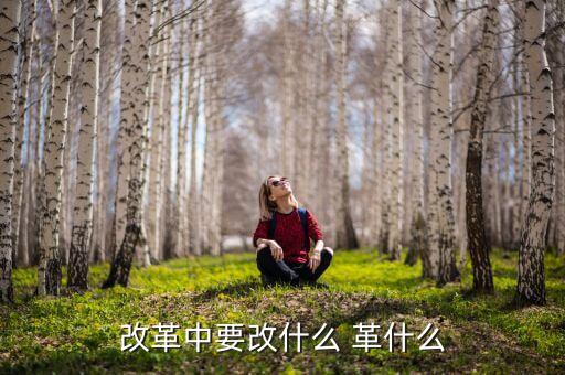你認為我國改革的重心應是什么改，我國改革的任務決定了改革應是 A 經(jīng)濟體制的改革 B 政治體制的改革