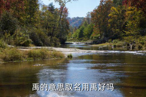 禹在名字中什么意思，名字里面帶個禹子好不 單禹字是什么意思有什么意義