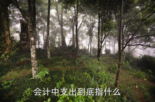 支出責任是什么意思，負擔是什么意思