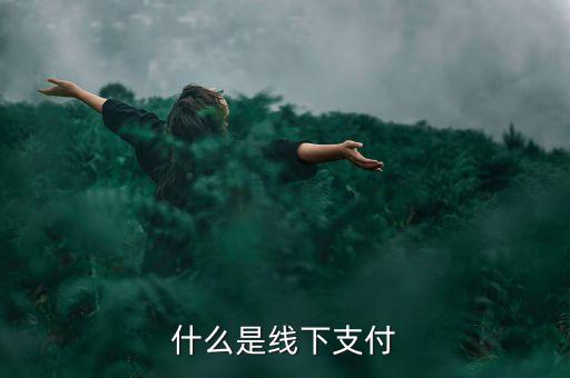 什么是線上線下支付，什么是線下支付
