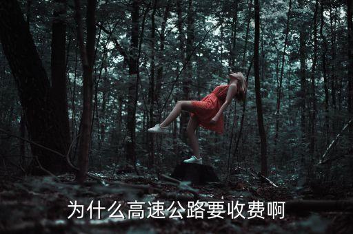 中國高速公路為什么要收費，為什么高速公路要收費啊