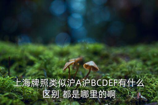 上海市政府牌照是滬什么，上海的車(chē)牌是滬還是浦