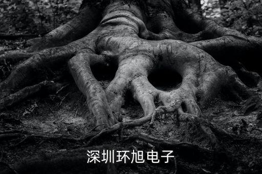 環(huán)旭電子經(jīng)營什么，上海環(huán)旭電子有限公司在什么地方