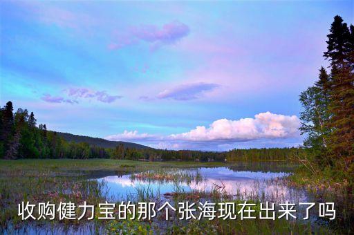 健力寶什么時候賣給張海，收購健力寶的那個張?，F(xiàn)在出來了嗎