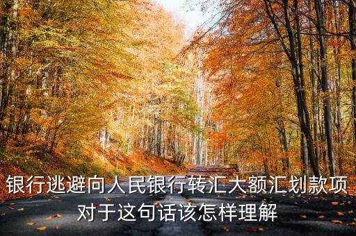銀行逃避向人民銀行轉匯大額匯劃款項對于這句話該怎樣理解