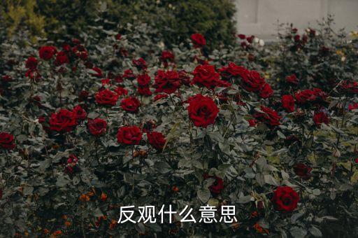 反觀當下是什么意思，求英語大神翻譯反觀當下