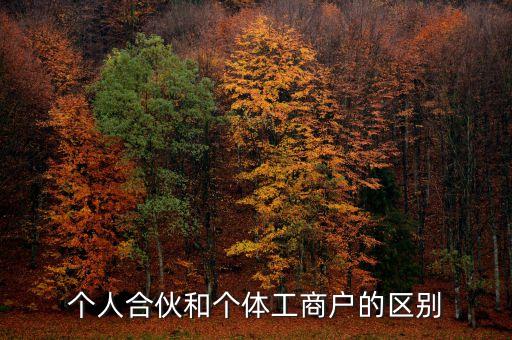 個人合伙領(lǐng)取什么經(jīng)營執(zhí)照，個人合伙辦理個體工商戶執(zhí)照