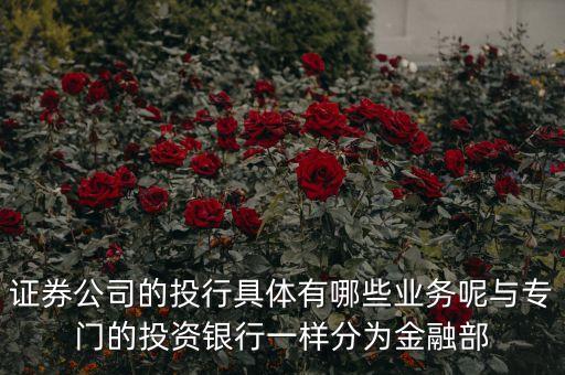 國(guó)內(nèi)券商投行部在做什么，國(guó)有四大行的投行部在做什么