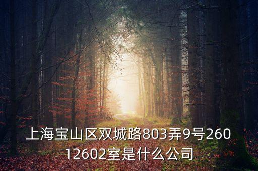上海柏智方德是什么公司，上海寶山區(qū)雙城路803弄9號26012602室是什么公司