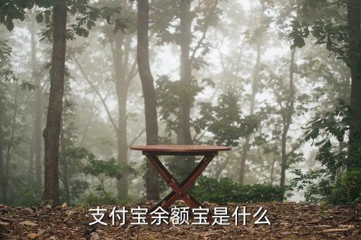 支付寶里面的余額寶是什么，支付寶里的余額寶是什么意思