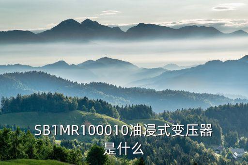 油浸式變壓器什么是酚推，SB1MR100010油浸式變壓器是什么