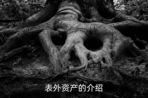 什么是表外資金，表外資產(chǎn)的介紹