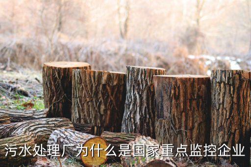 重點(diǎn)監(jiān)控企業(yè)為什么，稅務(wù)局來(lái)電要我們公處理重點(diǎn)監(jiān)控是什么意思
