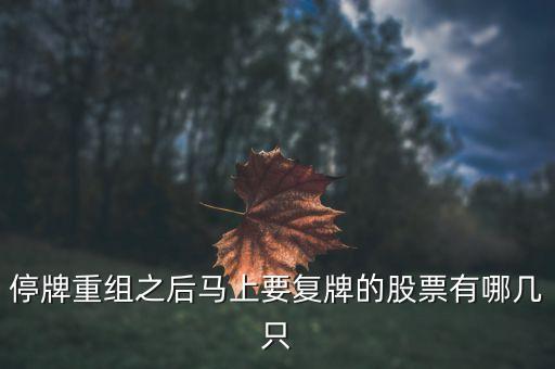 002306什么時候復(fù)牌，停牌重組之后馬上要復(fù)牌的股票有哪幾只
