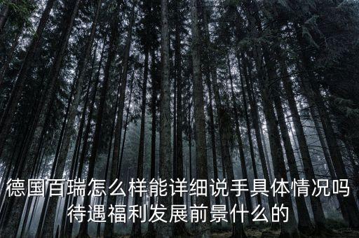 德國(guó)百瑞怎么樣能詳細(xì)說手具體情況嗎待遇福利發(fā)展前景什么的