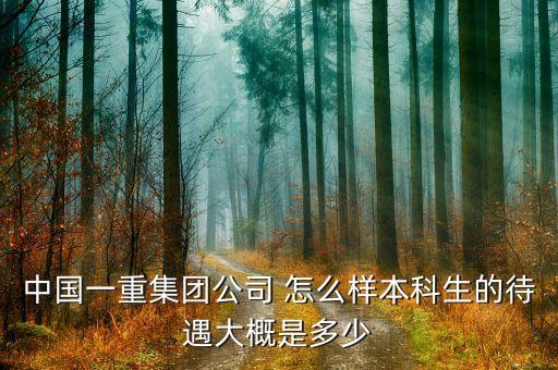 中國(guó)一重是做什么的，中國(guó)一重是第二批國(guó)企改一革試點(diǎn)嗎