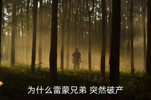 雷曼兄弟為什么破產(chǎn)，雷曼兄弟是因?yàn)槭裁炊飘a(chǎn)的