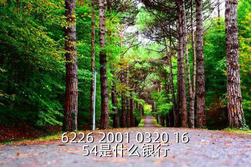 625166是什么銀行，6226 2001 0320 1654是什么銀行