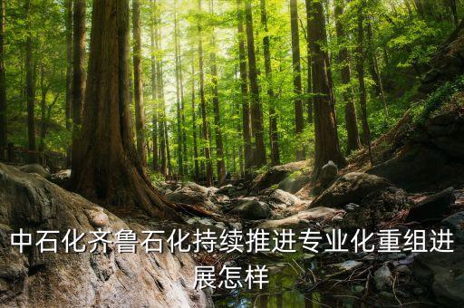 專業(yè)化重組是什么，股票中的重組是什么意思意味者什么對于持股人來說是好是壞