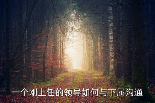 新任董事長(zhǎng)應(yīng)該做什么，董事會(huì)換屆選舉怎么做