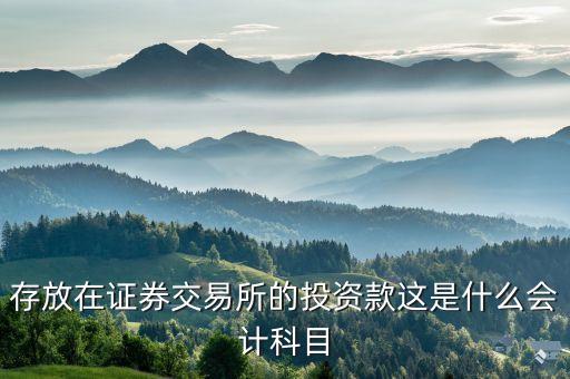 證券投資屬于什么會(huì)計(jì)科目，存放在證券交易所的投資款這是什么會(huì)計(jì)科目