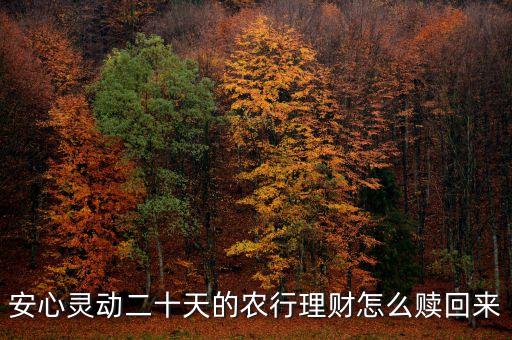 安心靈動20天什么時(shí)候可以贖回，安心靈動二十天的農(nóng)行理財(cái)怎么贖回來