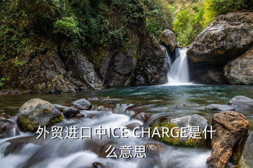 ice布油是什么，外貿(mào)進(jìn)口中ICE CHARGE是什么意思