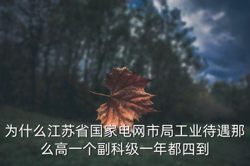 電力住房公積金為什么高，國家電網(wǎng)正式工公積金800元高嗎