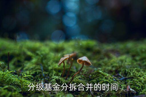基金什么時(shí)候拆分，基金一般在什么時(shí)候拆分或分紅