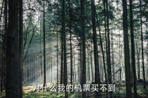 833919為什么買(mǎi)不到，我怎么買(mǎi)不到呀