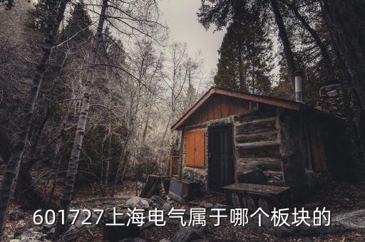 上海電氣什么行業(yè)，上海置信電氣股份有限公司是屬于什么行業(yè)
