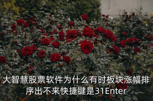 板塊排不按什么鍵，大智慧股票軟件為什么有時板塊漲幅排序出不來快捷鍵是31Enter