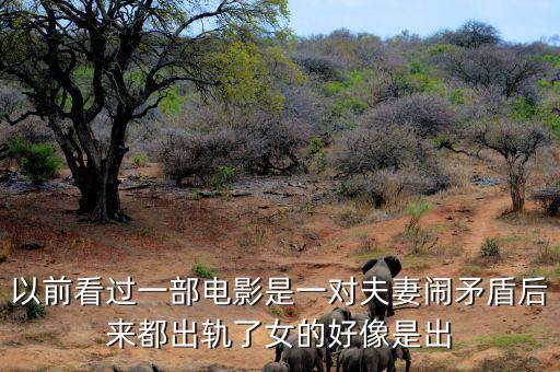 候永財執(zhí)導(dǎo)過什么電影，以前看過一部電影是一對夫妻鬧矛盾后來都出軌了女的好像是出