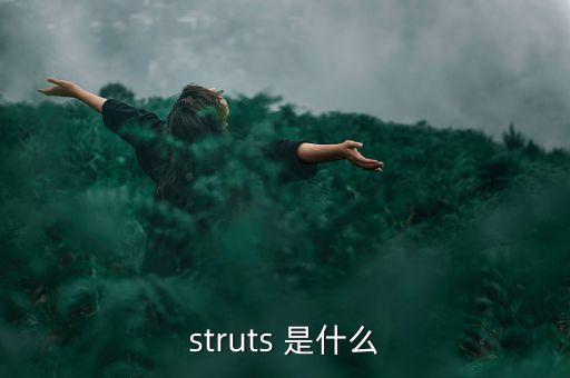 什么是中植系，struts 是什么
