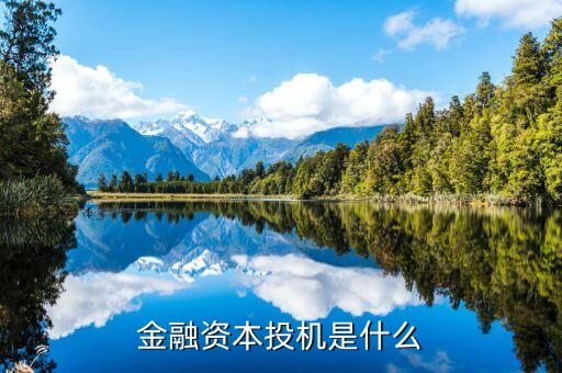 什么是金融投機(jī)，金融資本投機(jī)是什么
