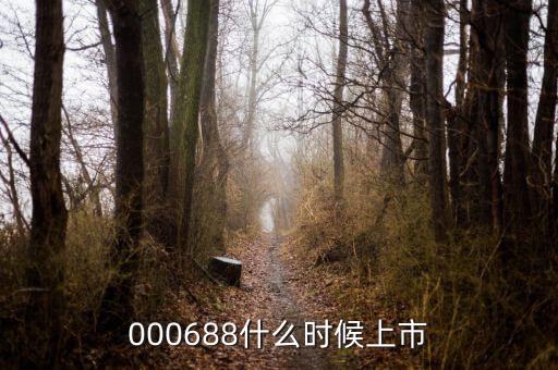 鼎盛財富什么時候上市，000688什么時候上市