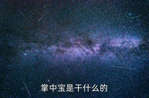 保險掌中寶是什么，掌中寶是干什么的